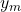 y_m