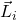 \vec{L}_i