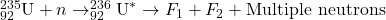 ^{235}_{92}\text{U} + n \rightarrow ^{236}_{92}\text{U}^* \rightarrow F_1 + F_2 + \text{Multiple neutrons}