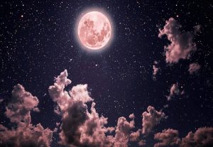شعر طولانی ترین شب سال