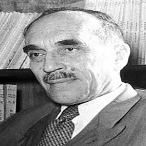 نیکولای سمیونوف