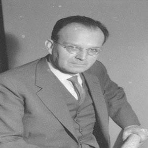 هاینتز پوزه